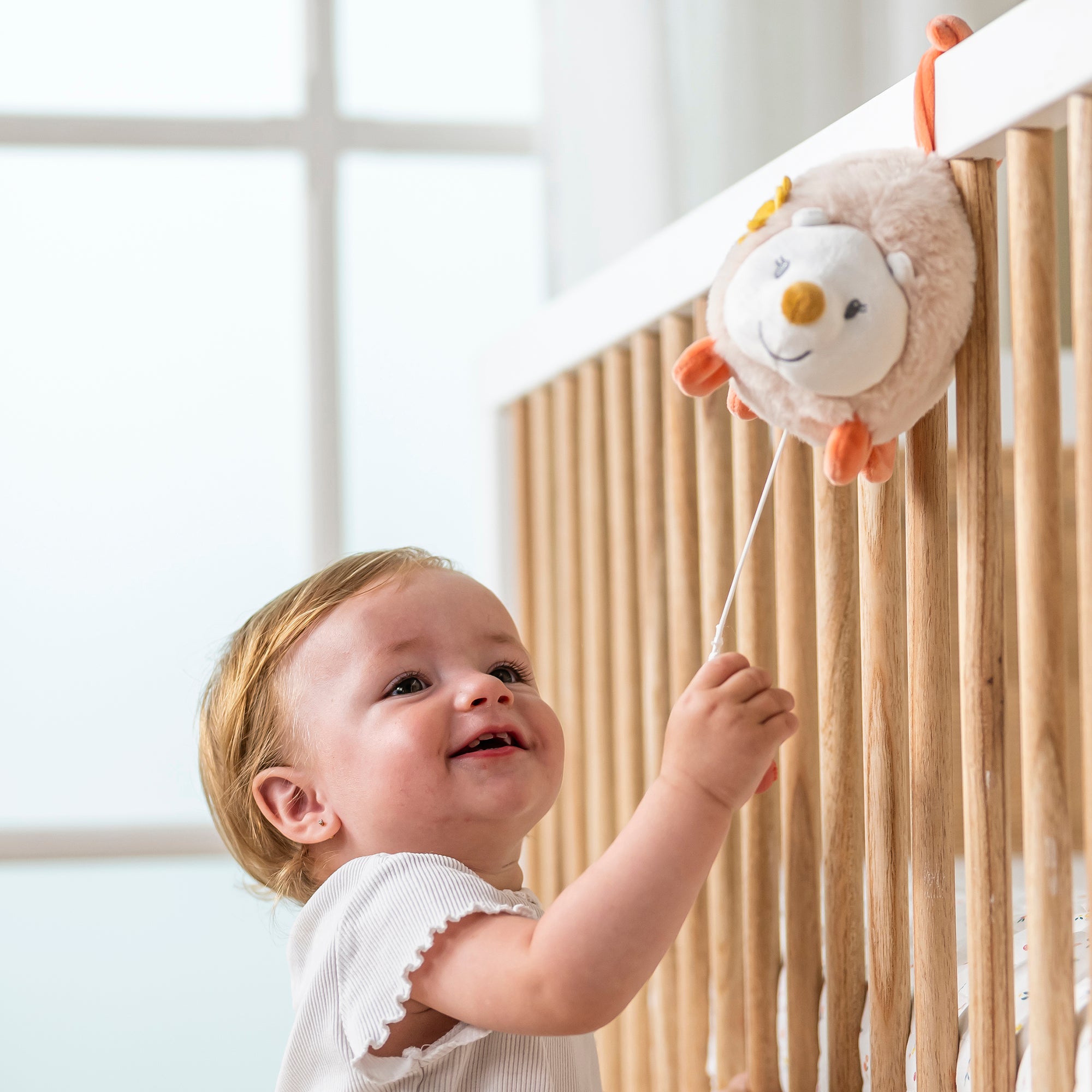 Peluche Musicale Hérisson Zoe