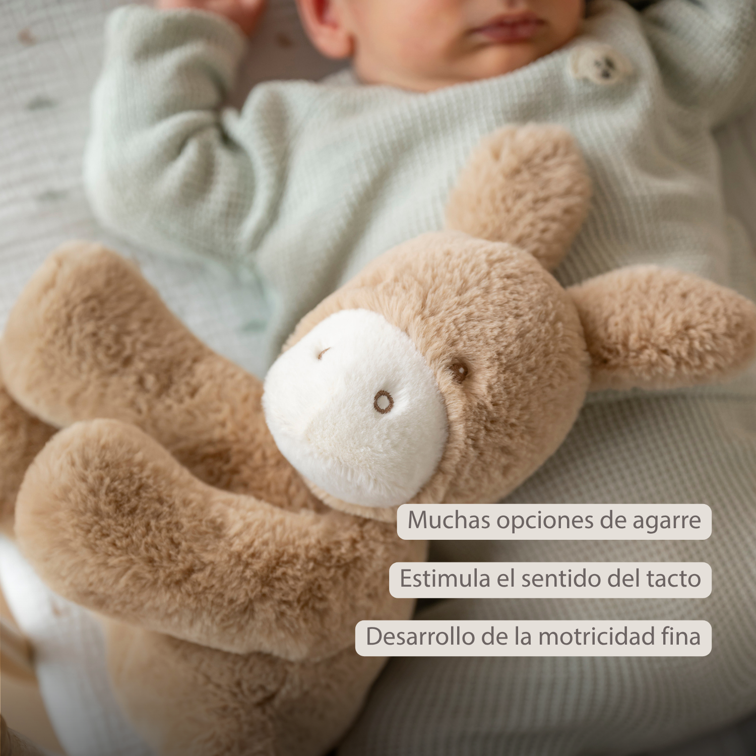 LouLou Plush Donkey - Soft Baby Cuddly Toy - 30 cm - Light Caramel [ES]