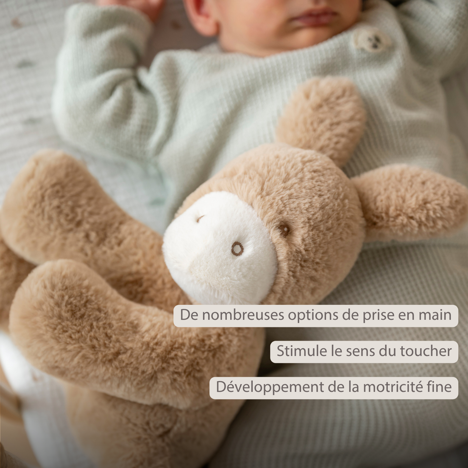 LouLou Plush Donkey - Soft Baby Cuddly Toy - 30 cm - Light Caramel [FR]