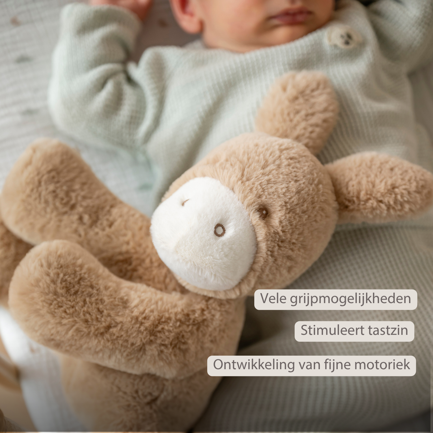 LouLou Plush Donkey - Soft Baby Cuddly Toy - 30 cm - Light Caramel [NL]