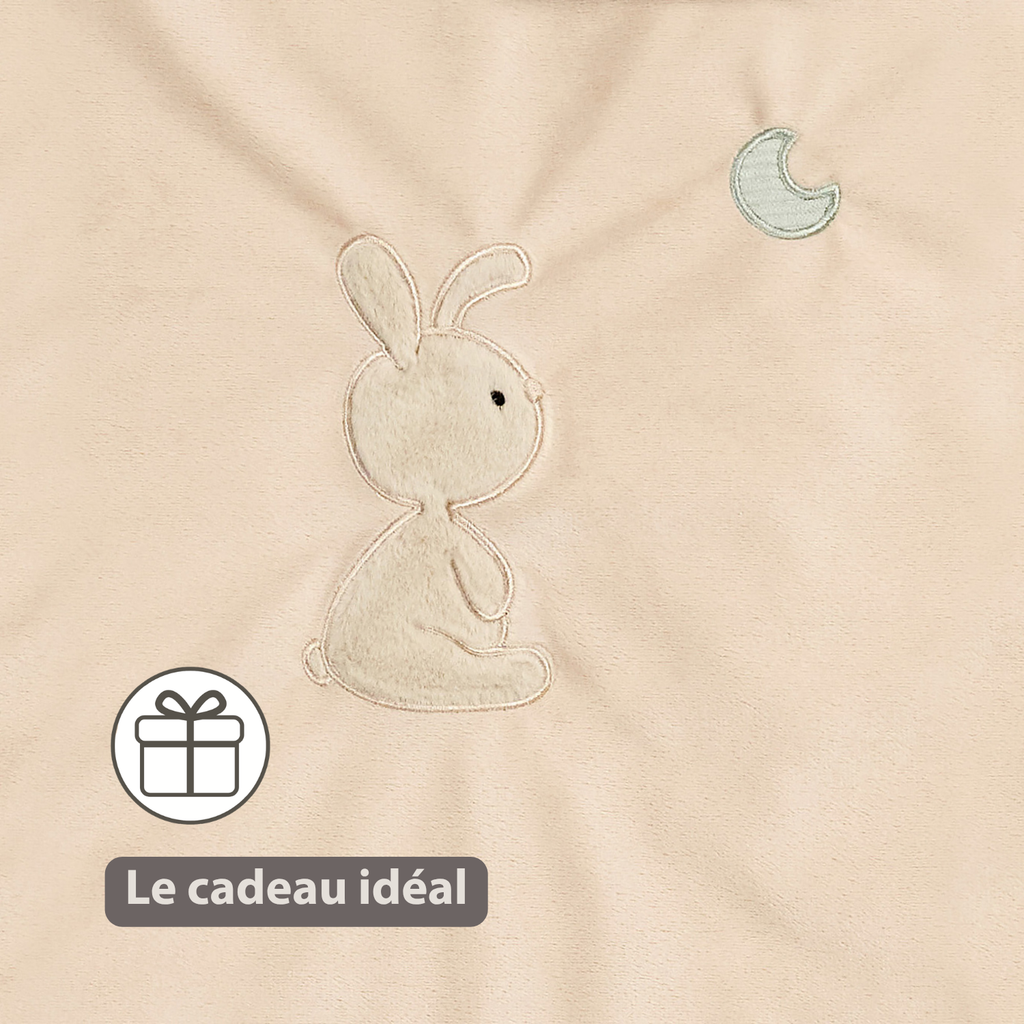 LouLou Duvet Cover 140 x 100 cm - Baby Pillowcase 40 x 60 cm - Velour and Muslin Cotton - Soft Colours [FR]