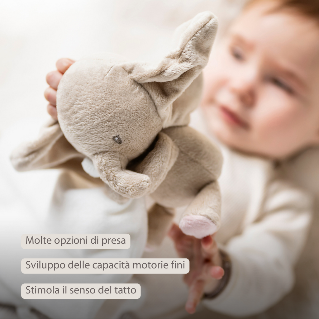 FanFan Baby Stuffed Cloth with Cuddle - 27 x 27 cm - Doudou Elephant - Off White [IT]