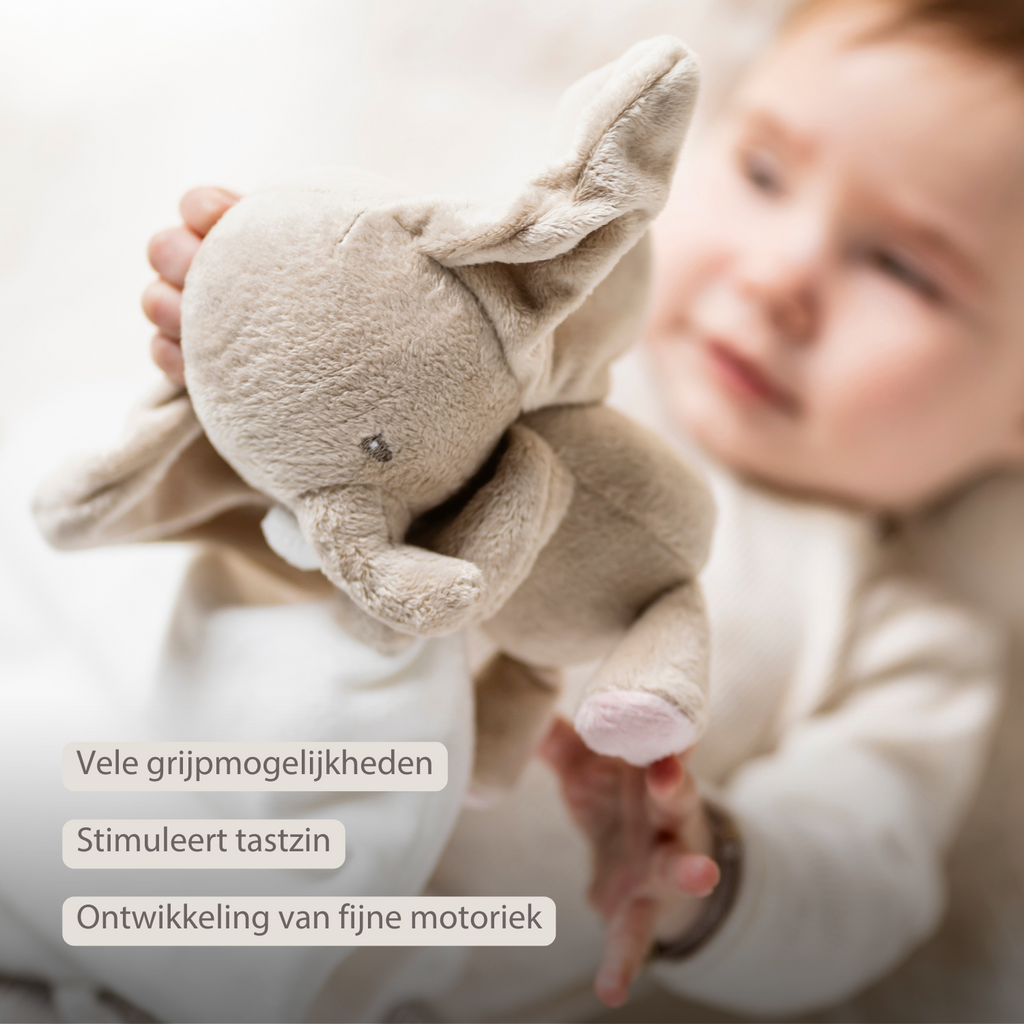 FanFan Baby Stuffed Cloth with Cuddle - 27 x 27 cm - Doudou Elephant - Off White [NL]