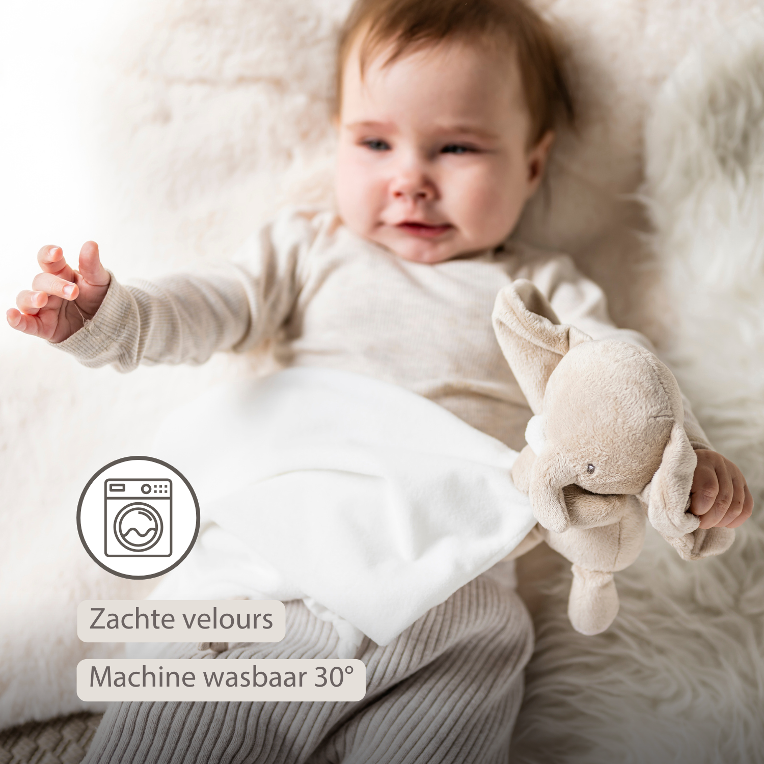 FanFan Baby Stuffed Cloth with Cuddle - 27 x 27 cm - Doudou Elephant - Off White [NL]
