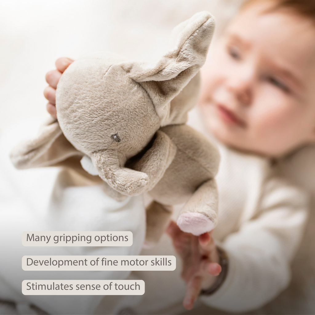 FanFan Baby Stuffed Cloth with Cuddle - 27 x 27 cm - Doudou Elephant - Off White [EN]