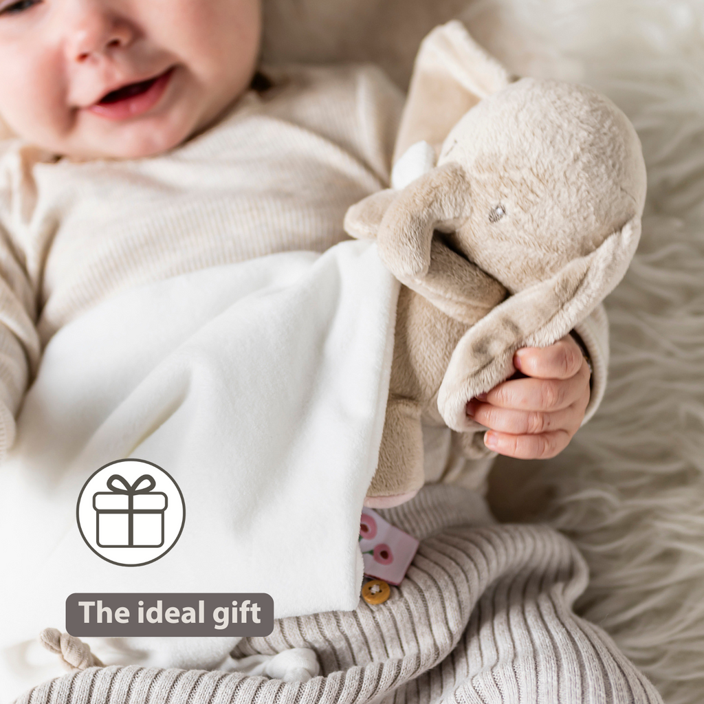 FanFan Baby Stuffed Cloth with Cuddle - 27 x 27 cm - Doudou Elephant - Off White [EN]