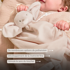 FanFan Baby Cuddly blanket - 65 x 40 cm - Doudou Elephant - Sand [FR]