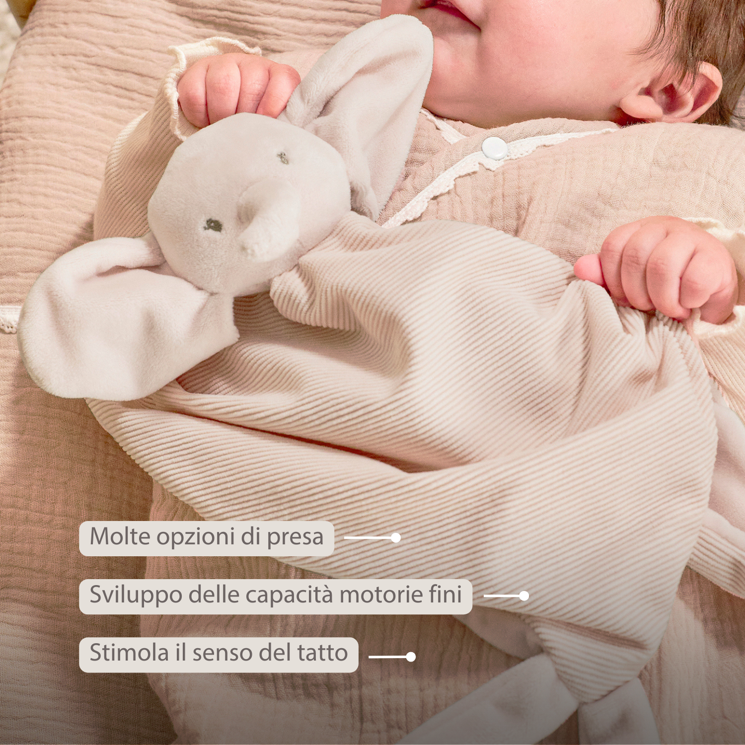 FanFan Baby Cuddly blanket - 65 x 40 cm - Doudou Elephant - Sand [IT]