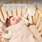 FanFan Musical soft toy little deer - 25 cm - Soft toy with music - Beige [NL]