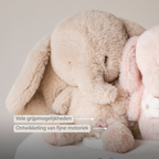 FanFan Musical Cuddle Elephant - 25 cm - Soft Cuddle with Music - Sand [NL]