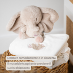 FanFan Baby Duvet Cover Velour 140x100 cm – Pillowcase 60x40 cm – Reversible [IT]