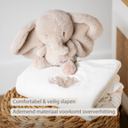 FanFan Baby Duvet Cover Velour 140x100 cm – Pillowcase 60x40 cm – Reversible [NL]