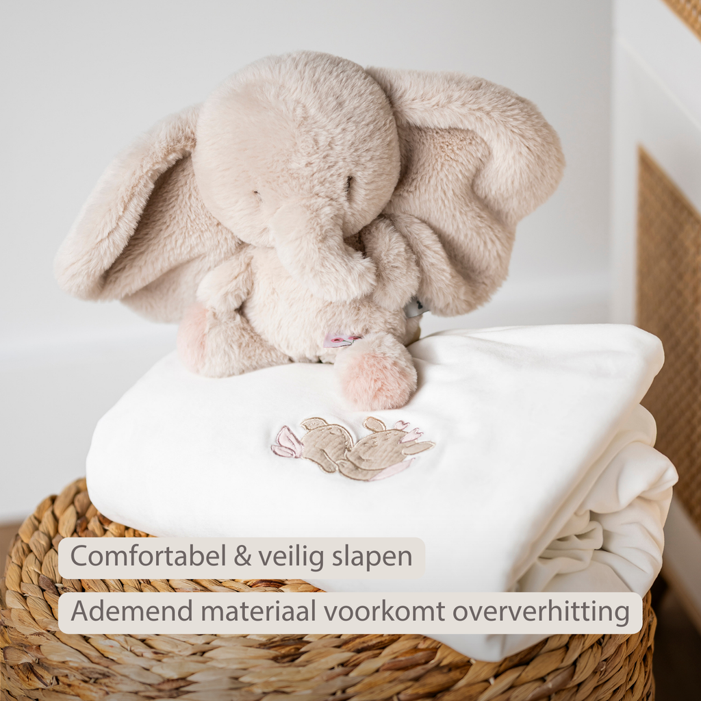 FanFan Baby Duvet Cover Velour 140x100 cm – Pillowcase 60x40 cm – Reversible [NL]