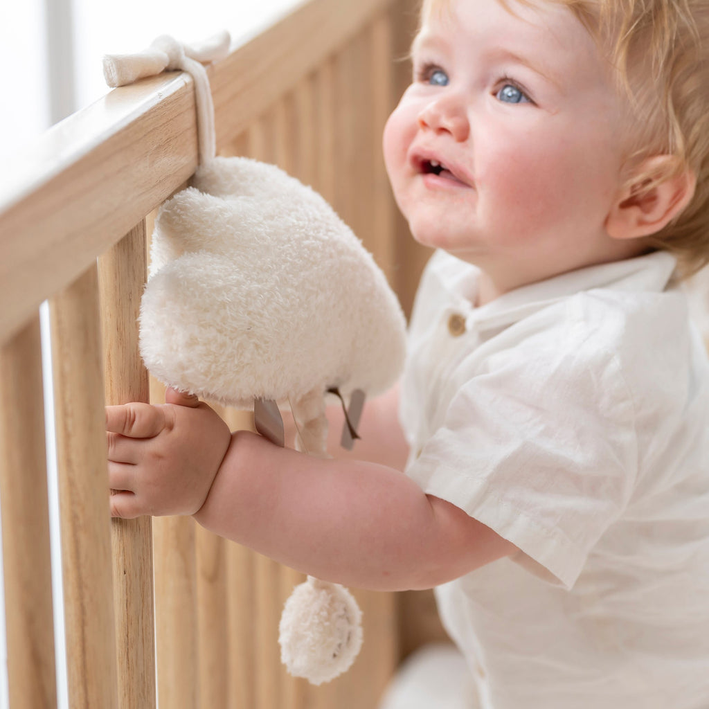 Nattou Musical Cuddly Cloud TEDDY