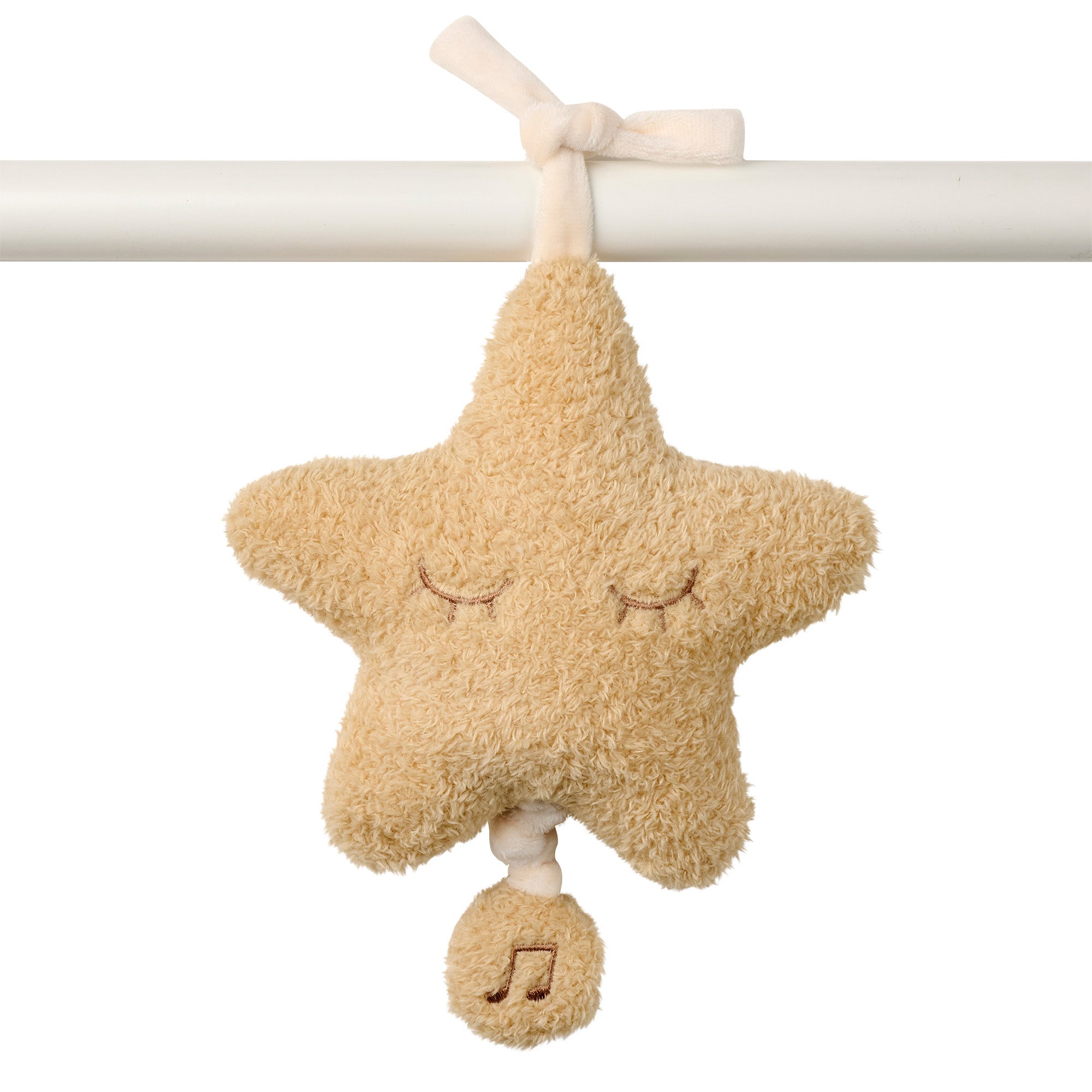 Musical Cuddly Star TEDDY