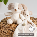 TEDDY Baby Plush Dog – 25 cm – Soft Baby Cuddle Toy – White & Beige [DE]