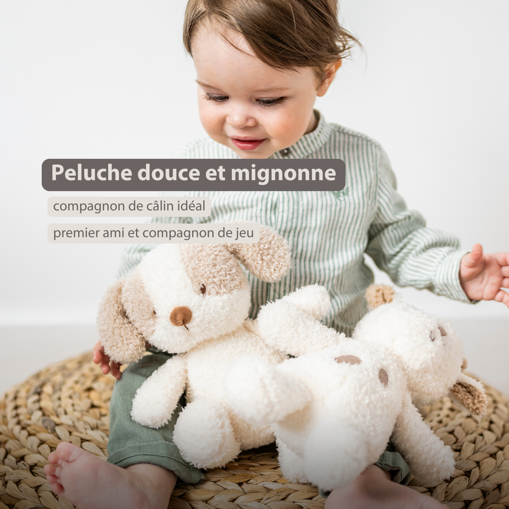 TEDDY Baby Plush Dog – 25 cm – Soft Baby Cuddle Toy – White & Beige [FR]