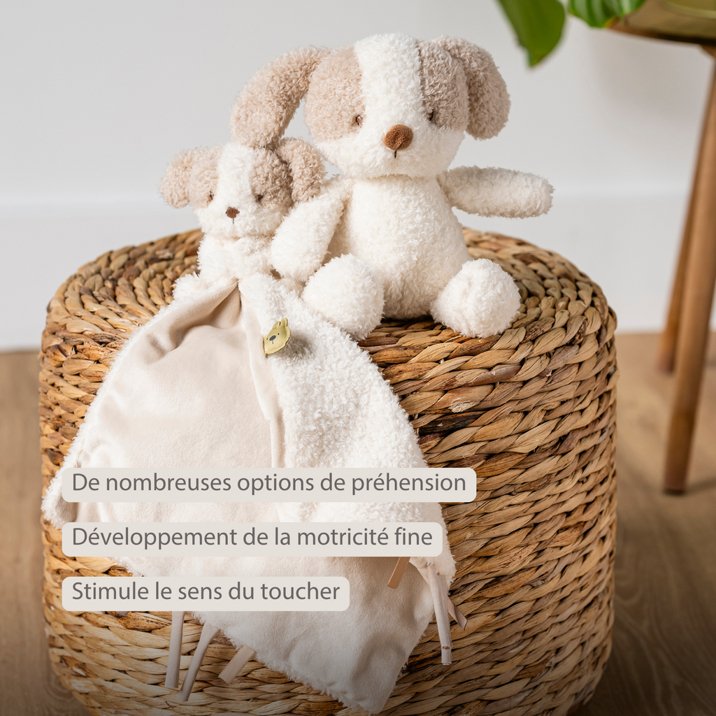 TEDDY Baby Plush Dog – 25 cm – Soft Baby Cuddle Toy – White & Beige [FR]