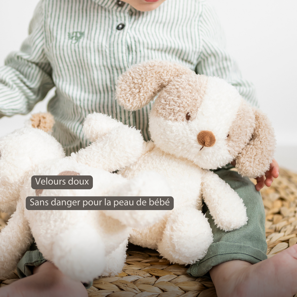 TEDDY Baby Plush Dog – 25 cm – Soft Baby Cuddle Toy – White & Beige [FR]