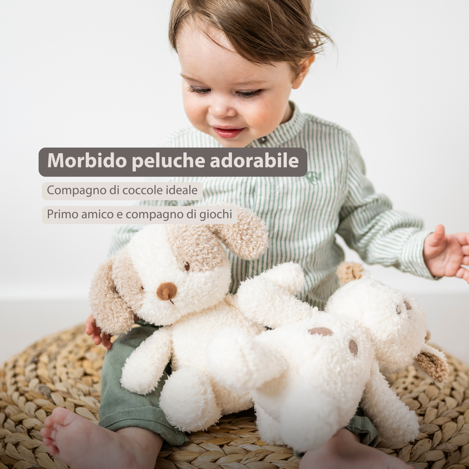 TEDDY Baby Plush Dog – 25 cm – Soft Baby Cuddle Toy – White & Beige [IT]