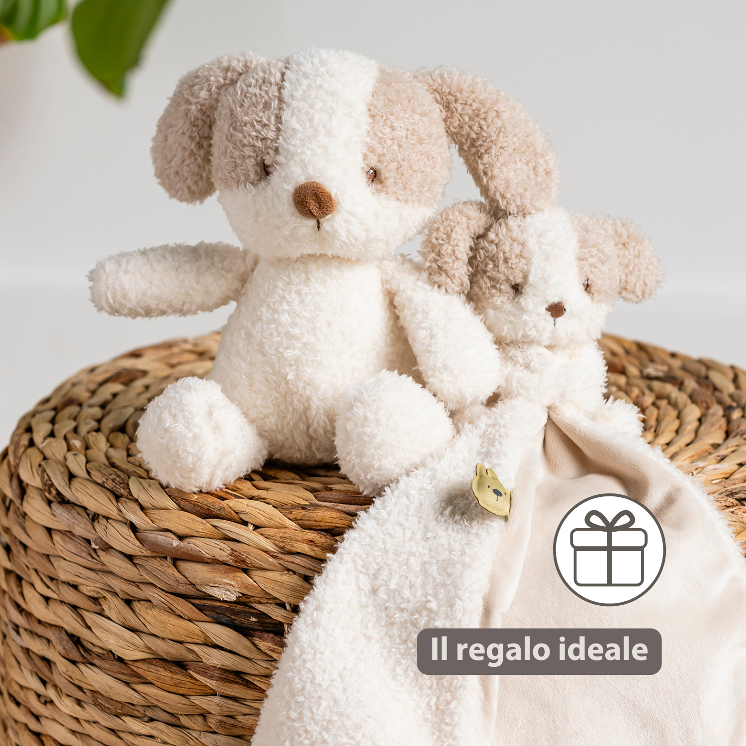 TEDDY Baby Plush Dog – 25 cm – Soft Baby Cuddle Toy – White & Beige [IT]