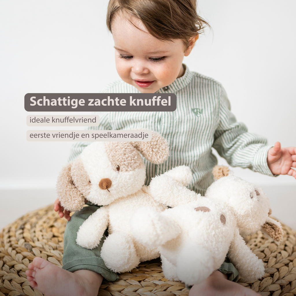 TEDDY Baby Plush Dog – 25 cm – Soft Baby Cuddle Toy – White & Beige [NL]