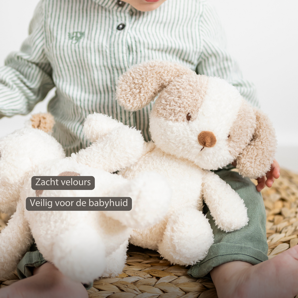TEDDY Baby Plush Dog – 25 cm – Soft Baby Cuddle Toy – White & Beige [NL]