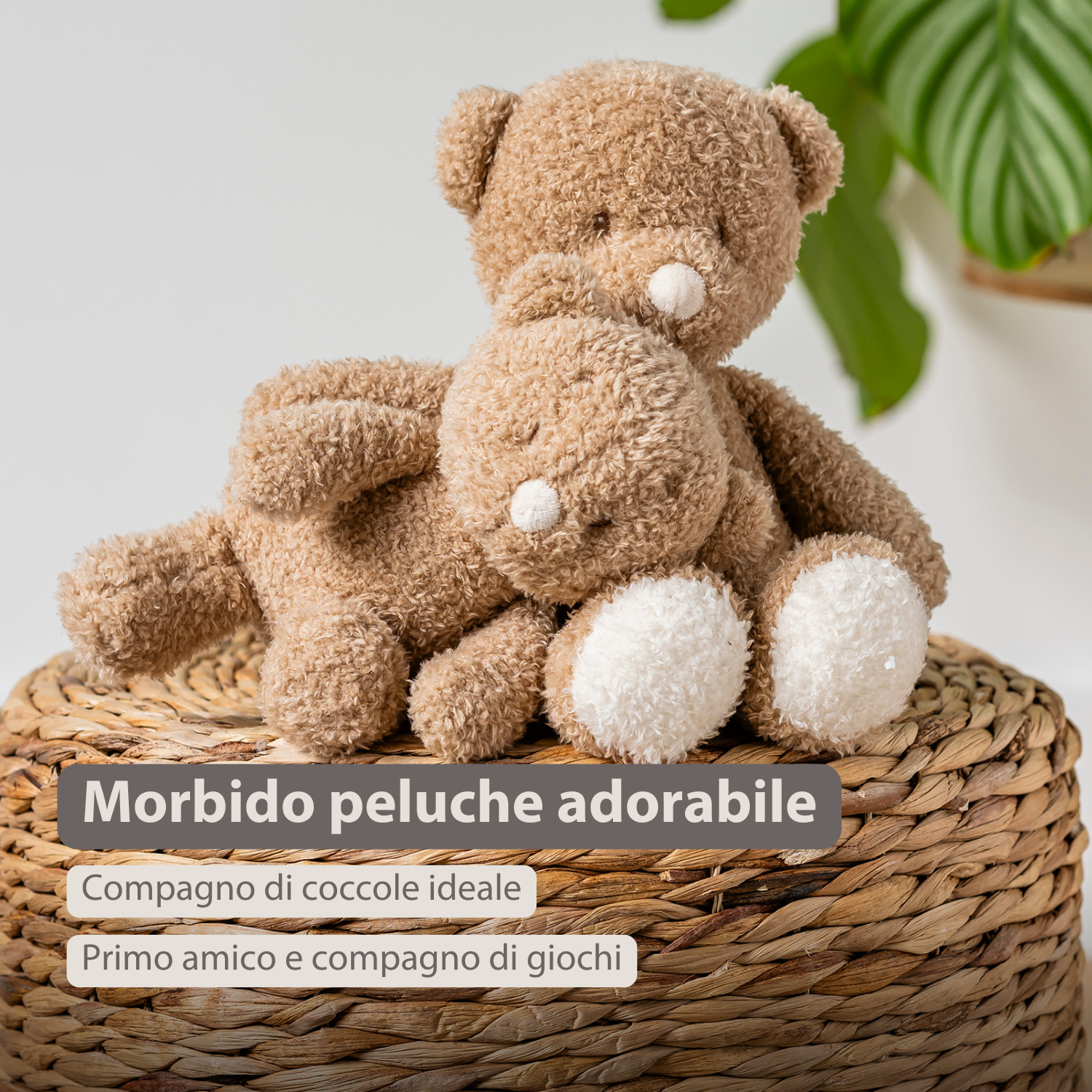 TEDDY Baby Plush Bear – 25 cm – Soft Baby Cuddle Toy – Beige [IT]