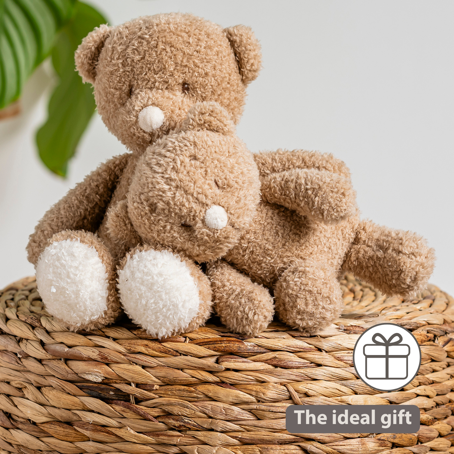 TEDDY Baby Plush Bear – 25 cm – Soft Baby Cuddle Toy – Beige [EN]