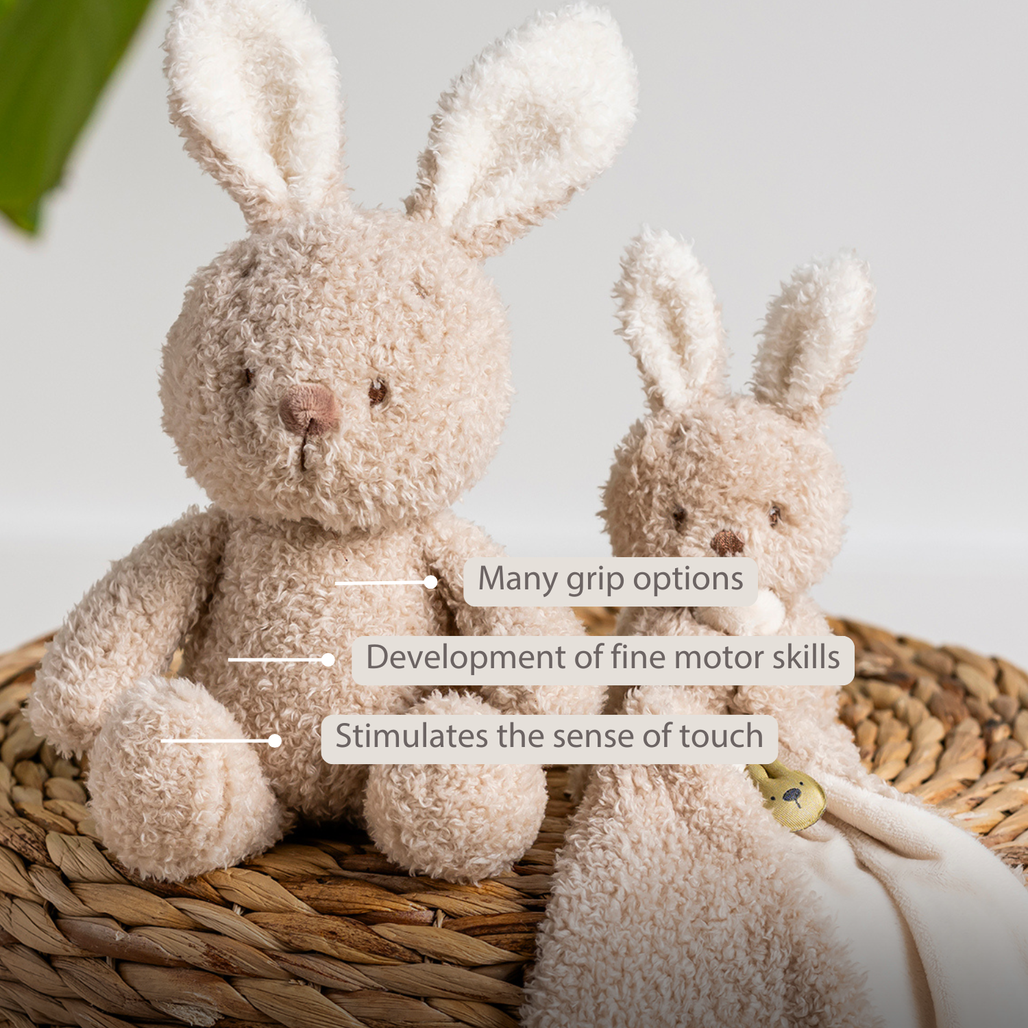 TEDDY Baby Plush Bunny – 25 cm – Soft Baby Cuddle Toy – Beige [EN]