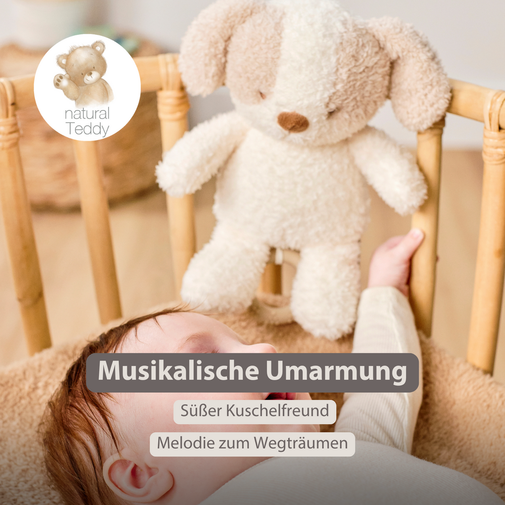 TEDDY Music Plush Dog – 25 cm – Soft Plush Toy with Music – White & Beige [DE]