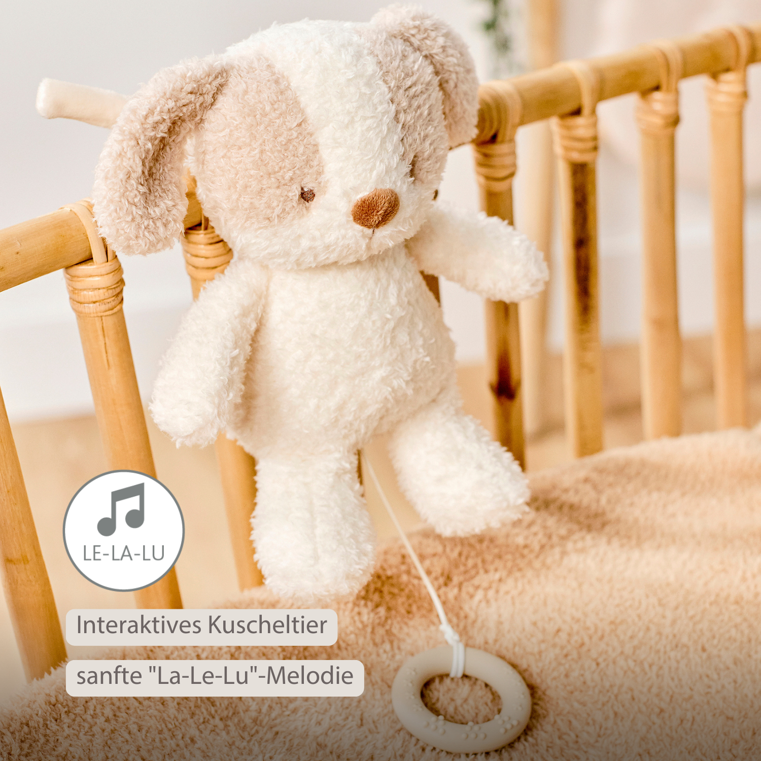 TEDDY Music Plush Dog – 25 cm – Soft Plush Toy with Music – White & Beige [DE]