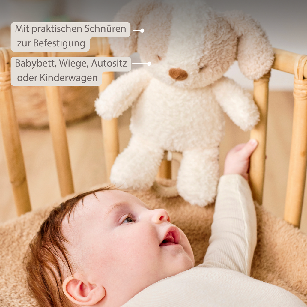 TEDDY Music Plush Dog – 25 cm – Soft Plush Toy with Music – White & Beige [DE]