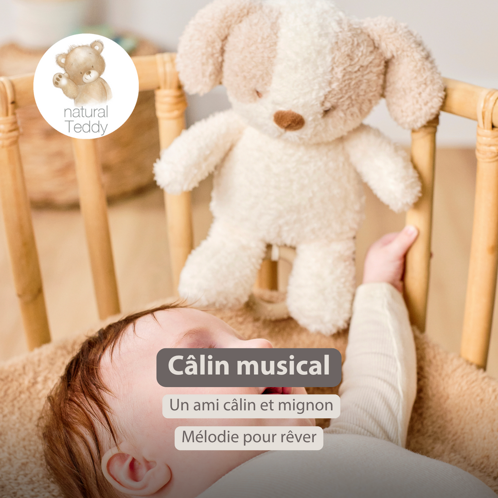 TEDDY Music Plush Dog – 25 cm – Soft Plush Toy with Music – White & Beige [FR]