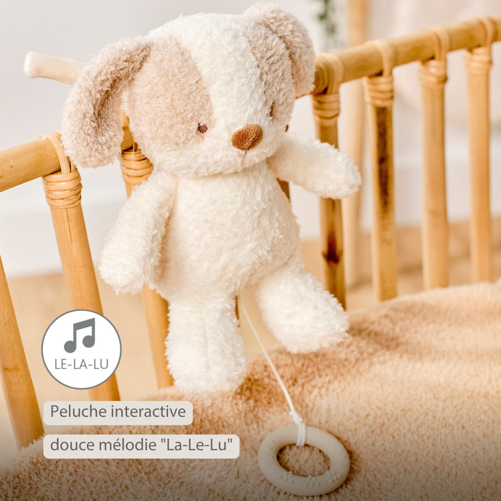 TEDDY Music Plush Dog – 25 cm – Soft Plush Toy with Music – White & Beige [FR]
