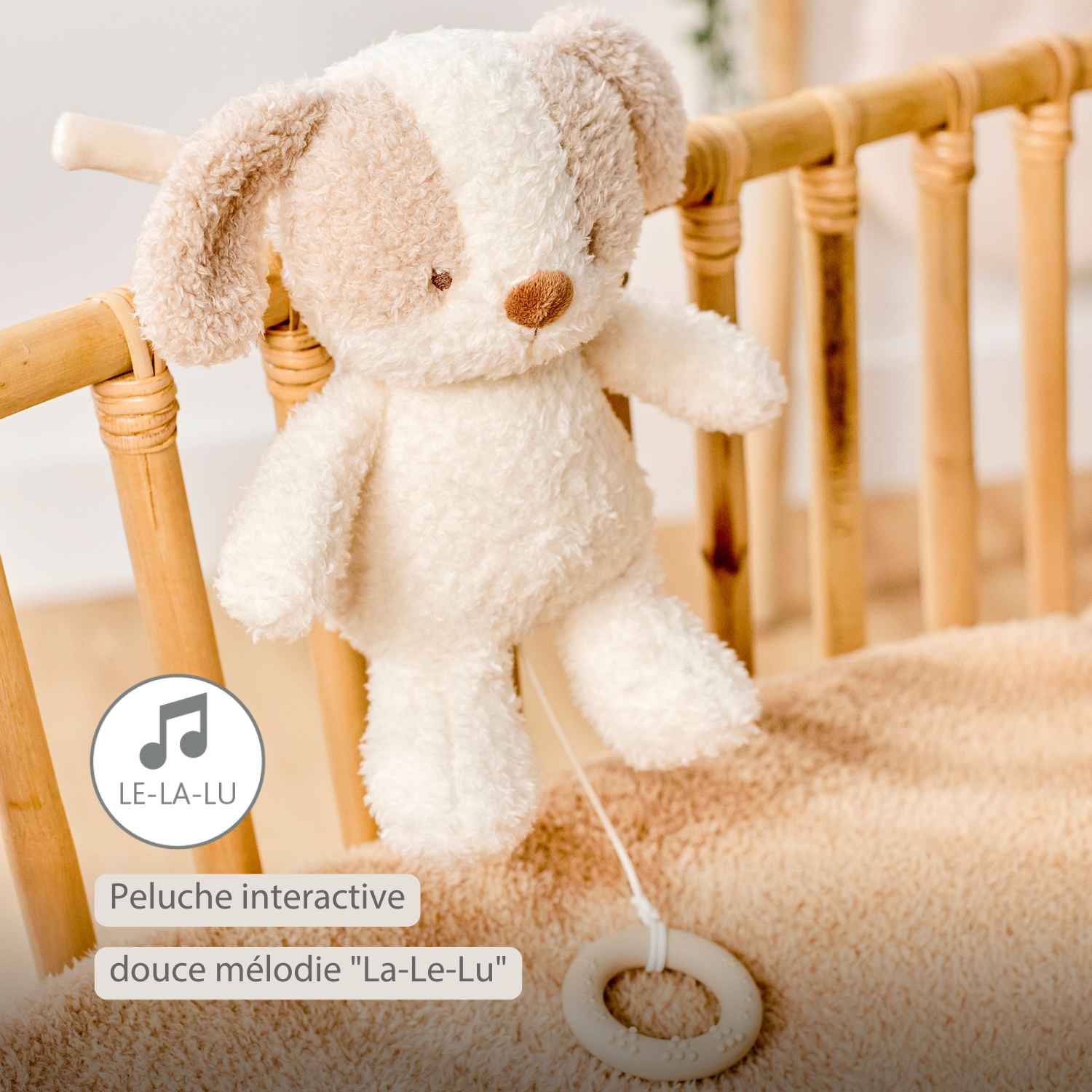 TEDDY Music Plush Dog – 25 cm – Soft Plush Toy with Music – White & Beige [FR]