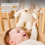 TEDDY Music Plush Dog – 25 cm – Soft Plush Toy with Music – White & Beige [FR]