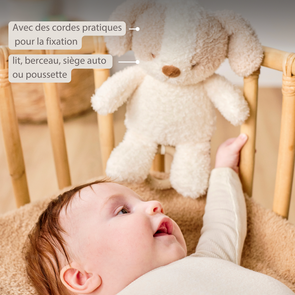 TEDDY Music Plush Dog – 25 cm – Soft Plush Toy with Music – White & Beige [FR]