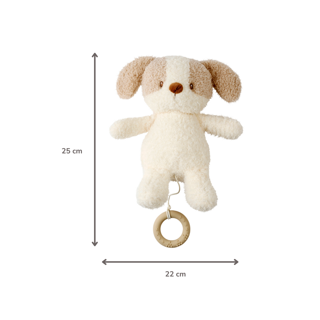 TEDDY Music Plush Dog – 25 cm – Soft Plush Toy with Music – White & Beige [FR]