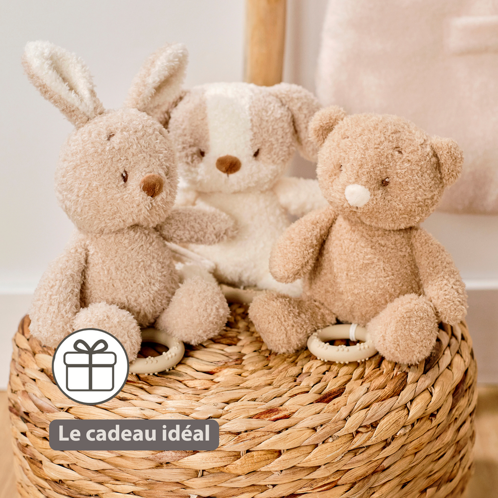 TEDDY Music Plush Dog – 25 cm – Soft Plush Toy with Music – White & Beige [FR]