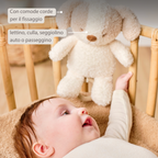 TEDDY Music Plush Dog – 25 cm – Soft Plush Toy with Music – White & Beige [IT]