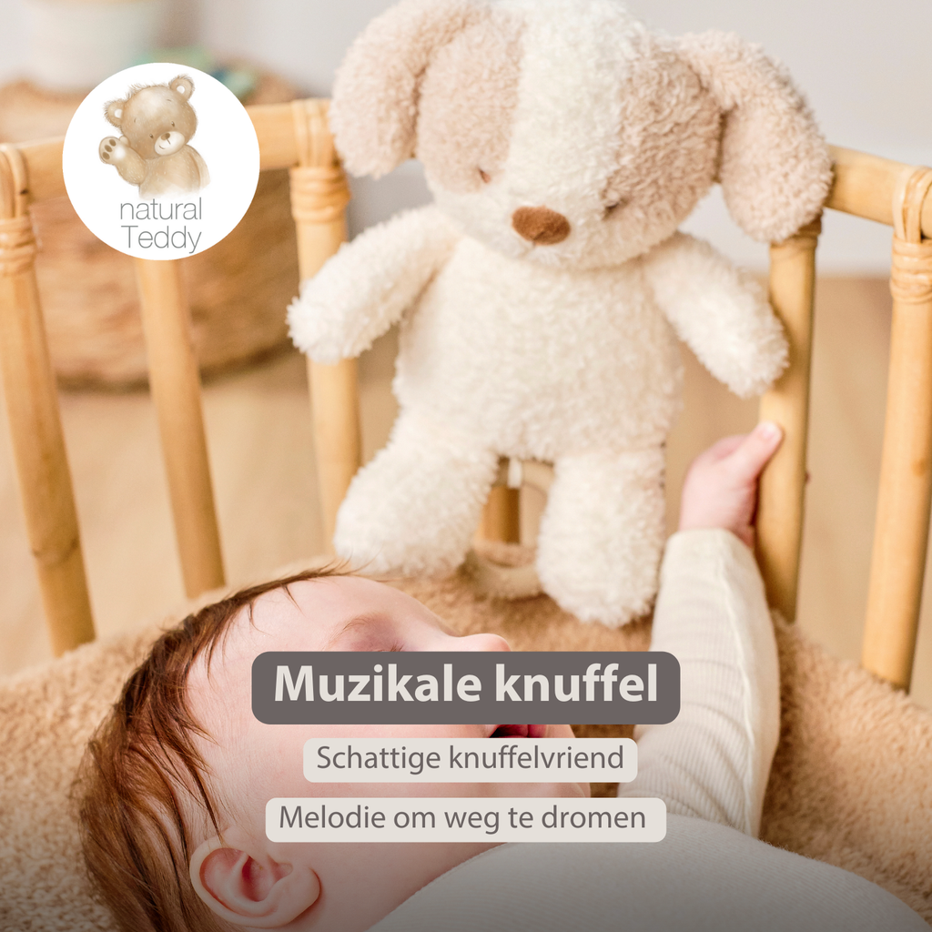 TEDDY Music Plush Dog – 25 cm – Soft Plush Toy with Music – White & Beige [NL]