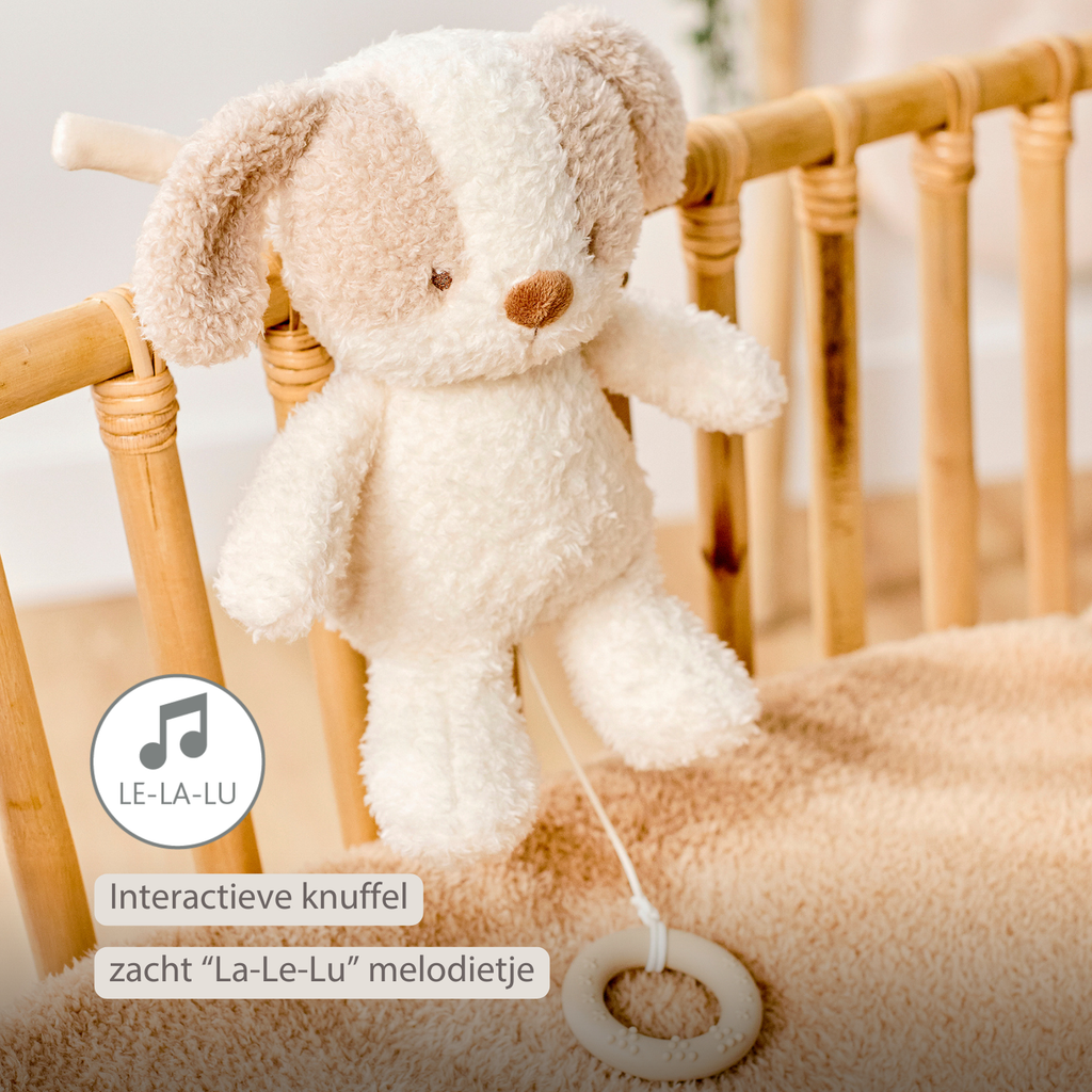 TEDDY Music Plush Dog – 25 cm – Soft Plush Toy with Music – White & Beige [NL]