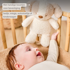 TEDDY Music Plush Dog – 25 cm – Soft Plush Toy with Music – White & Beige [NL]