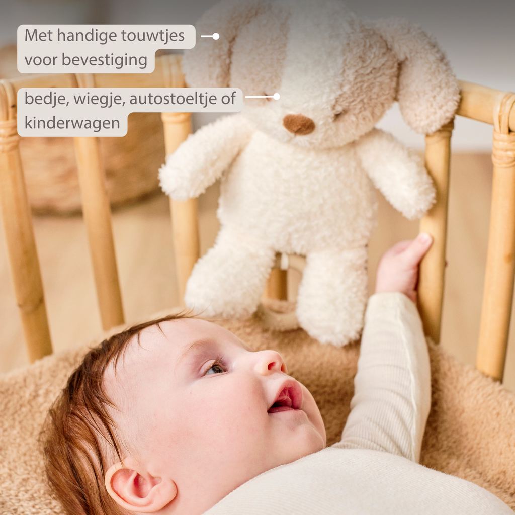 TEDDY Music Plush Dog – 25 cm – Soft Plush Toy with Music – White & Beige [NL]