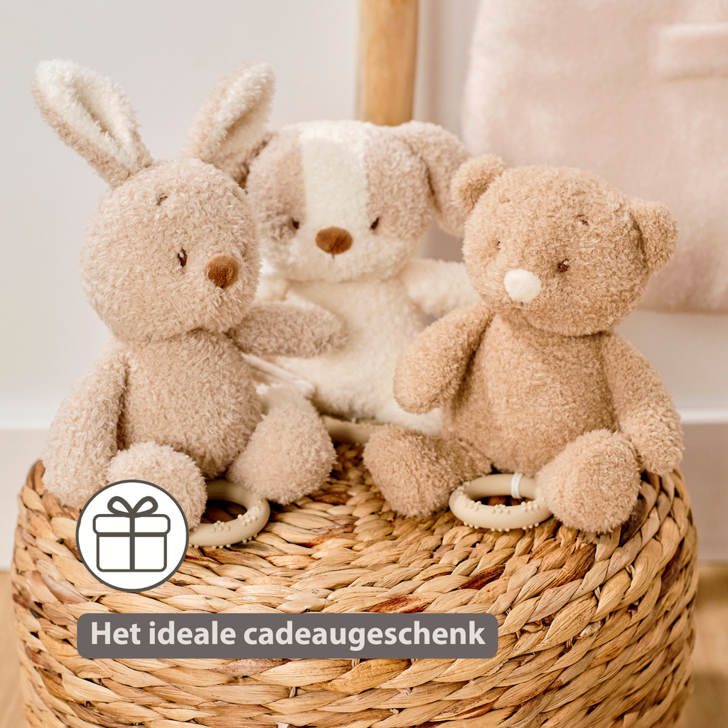 TEDDY Music Plush Dog – 25 cm – Soft Plush Toy with Music – White & Beige [NL]