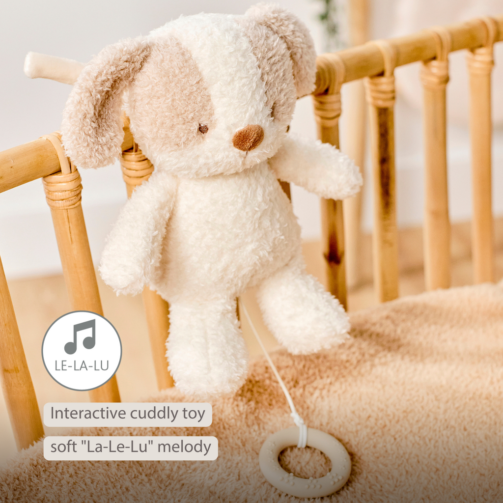 TEDDY Music Plush Dog – 25 cm – Soft Plush Toy with Music – White & Beige [EN]