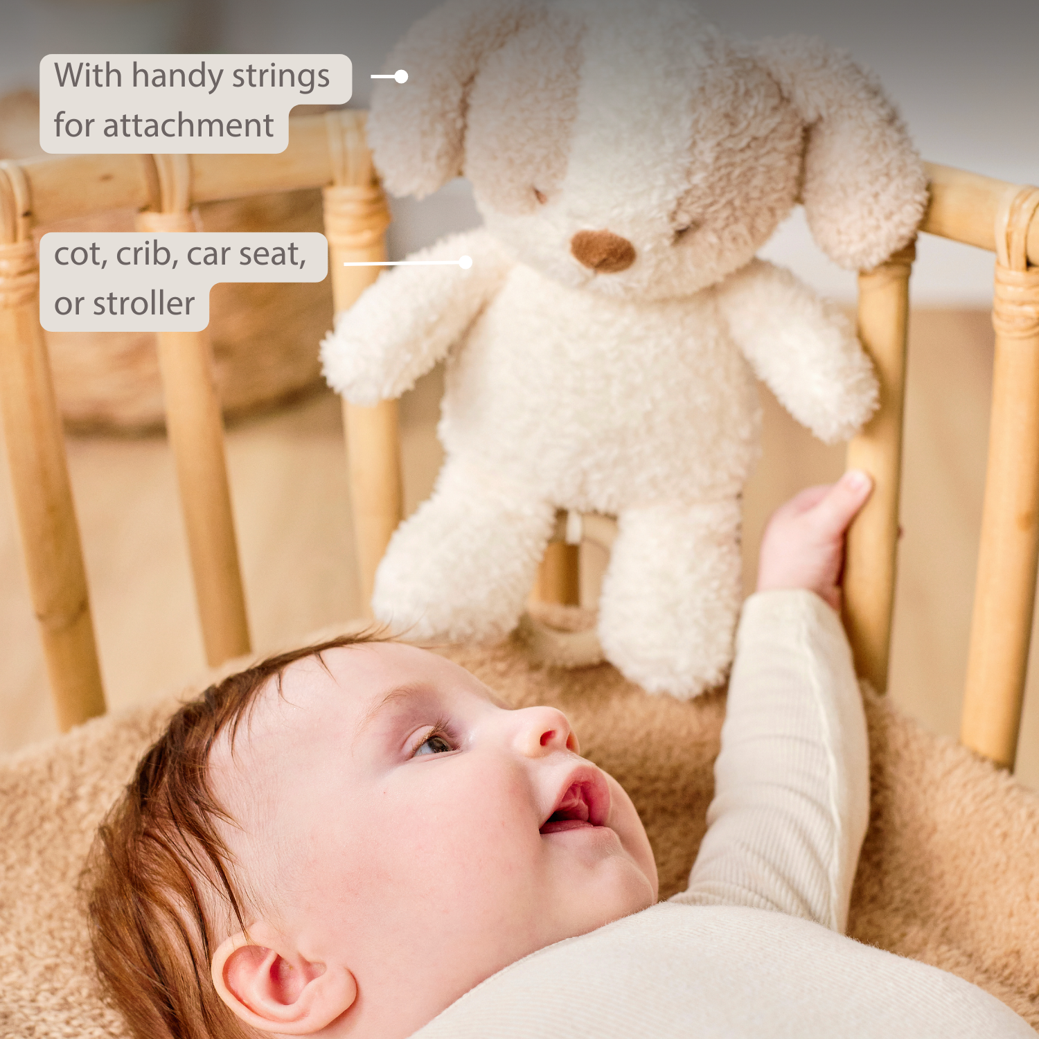 TEDDY Music Plush Dog – 25 cm – Soft Plush Toy with Music – White & Beige [EN]