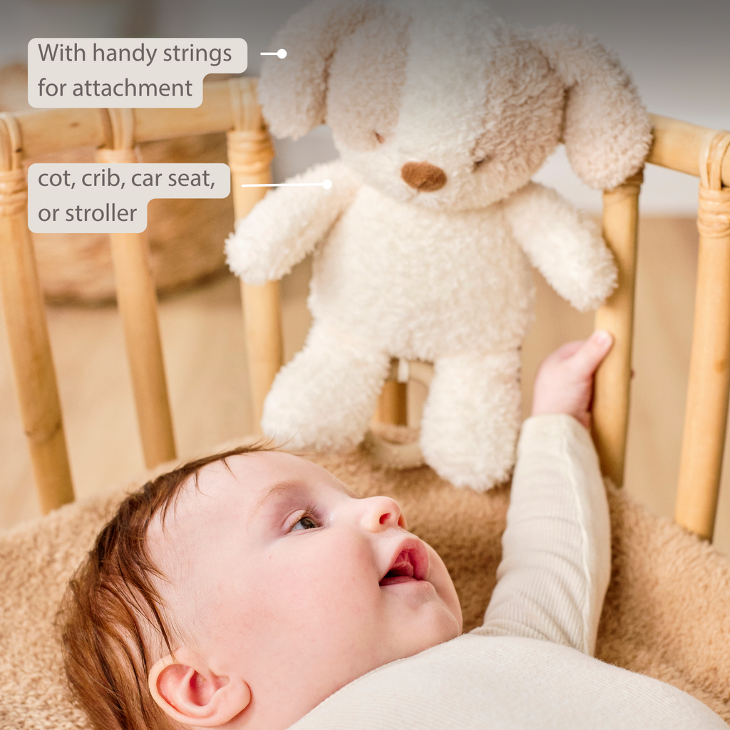 TEDDY Music Plush Dog – 25 cm – Soft Plush Toy with Music – White & Beige [EN]