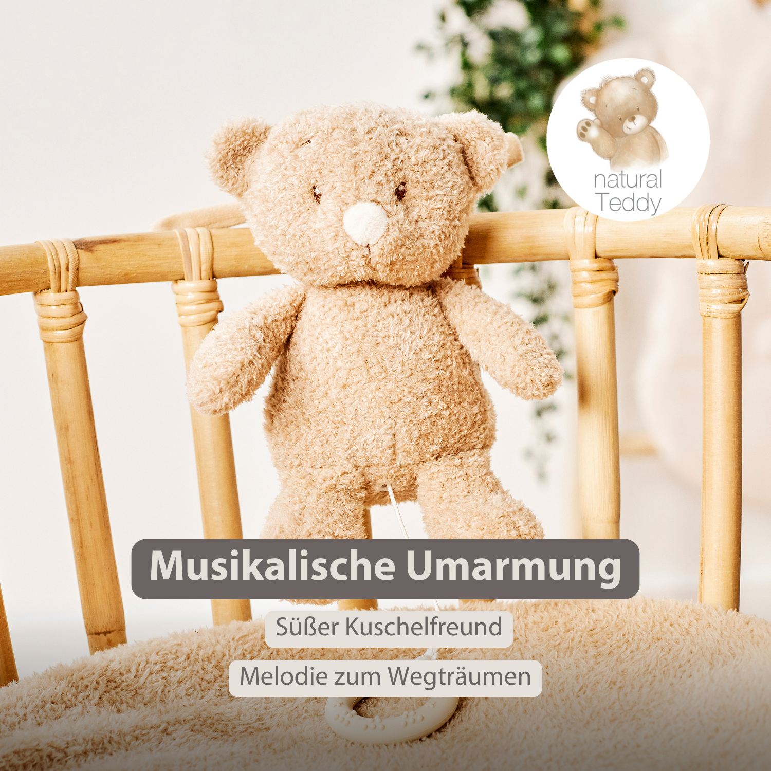 TEDDY Music Plush Bear – 25 cm – Soft Plush Toy with Music – Beige [DE]